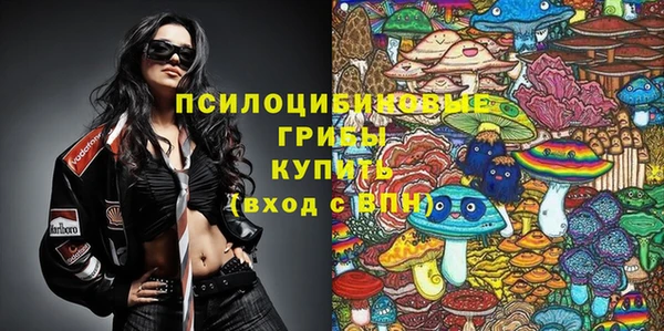 Альфа ПВП Верея