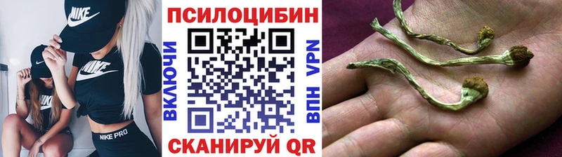 Купить где  Мирный  Псилоцибиновые грибы Psilocybe 